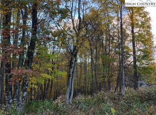 10 Hidden Valley Ln, Independence, VA 24348