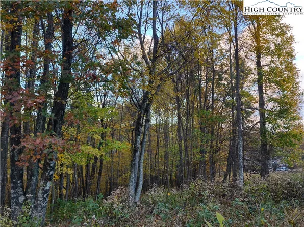 Lot 10 Hidden Valley Lane, Independence, VA 24348