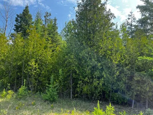Walmsley Rd, Alpena, MI 49707