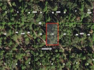 2902 Hillery St, Inverness, FL 34452