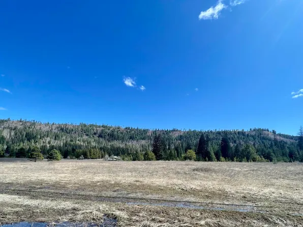 541 Larch Ln Lot 40, Cusick, WA 99119