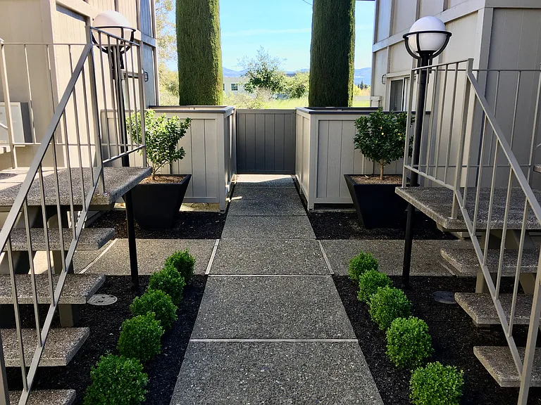 Olive Tree Apartments — Photo 22