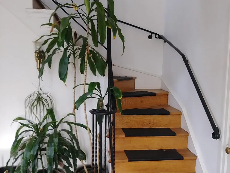 331 Harrison Ave #3 — Photo 5