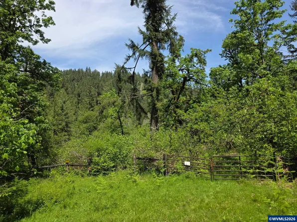 LOT 500 Lewis Cemetery Rd, Silverton, OR 97381