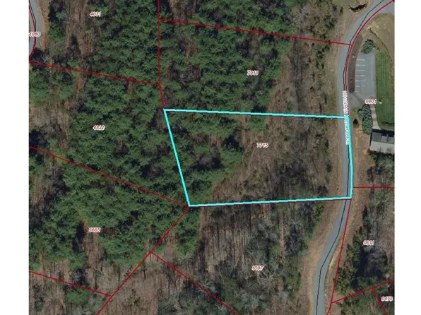 7 Mountain Magnolia Dr, Leicester, NC 28748
