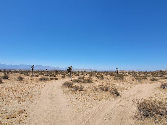 4th image of E Avenue L8