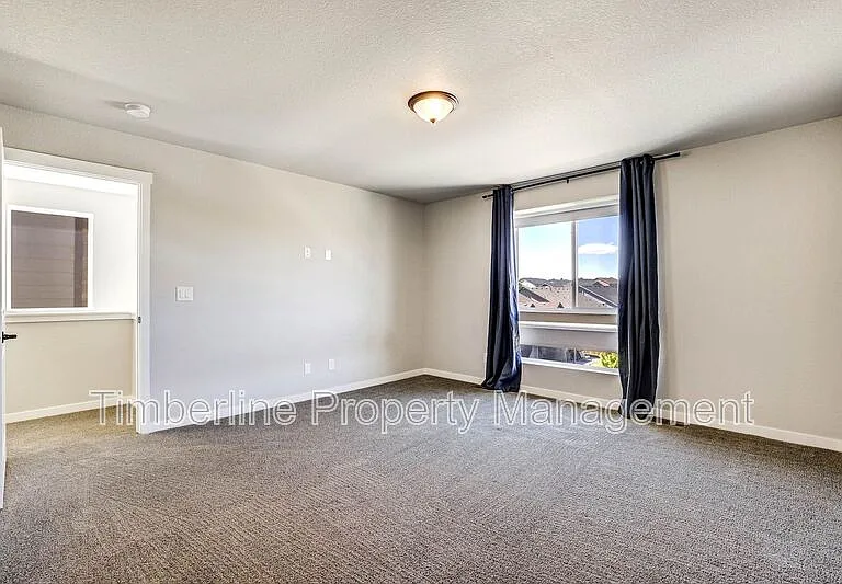 7359 Hunter Jumper Dr — Photo 36
