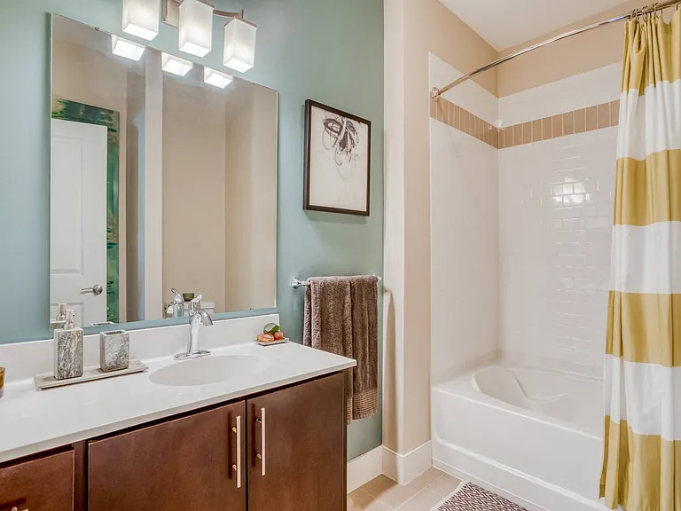 Spa-inspired bathrooms with large soaking tubs