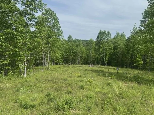 0 Freedom Rdg Lot 3, Indian Mound, TN 37079