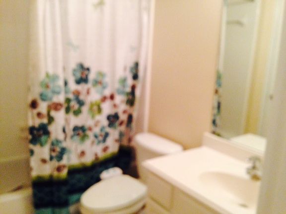 4th image of 12516 Emerald Springs Dr