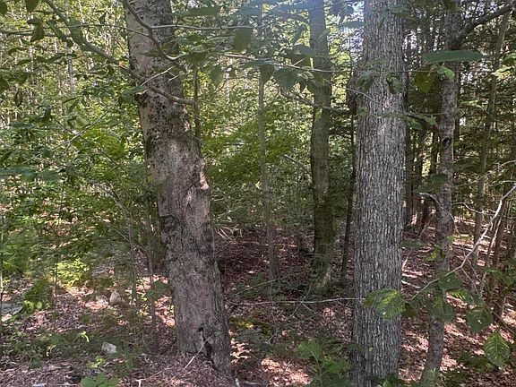 5th image of L24 Poplar Ridge Drive