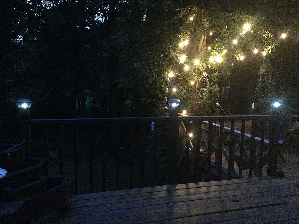 Out in nature at night