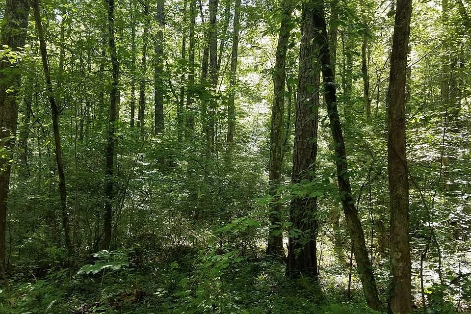 2nd image of Craigtown Rd