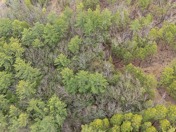 5th image of Lot 053 Holt Road