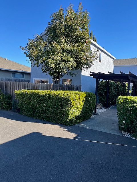 Apartment complex with manicured pink flowered camellias arbor and gardenia hedges