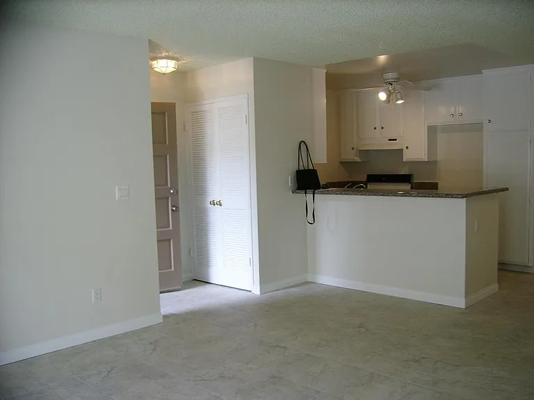 Living Room/Kitchen