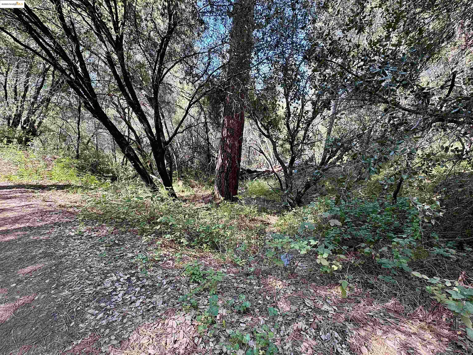 21893 Sawmill Flat Rd photo 1