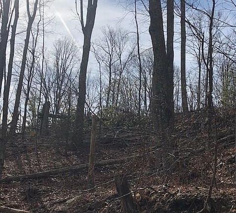 2nd image of 0 Butler Ridge Trl #27