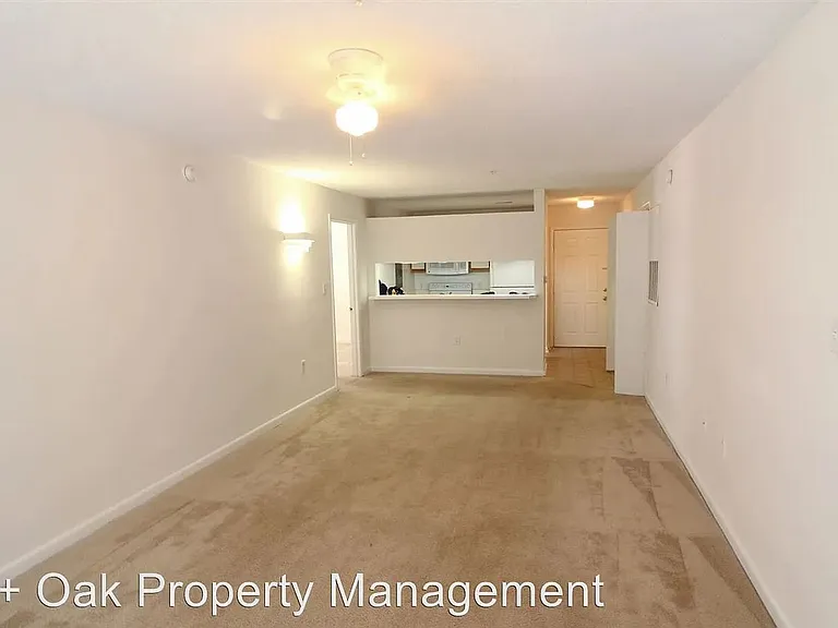 1431 Collegiate Cir #204 — Photo 5