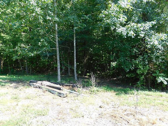 Right trail opening to creek