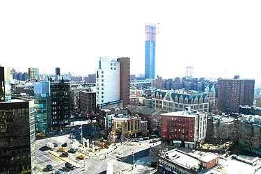 Sold by Cicada International LLC