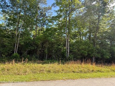98186 Golf Club Dr Lot 17, Diamondhead, MS, 39525