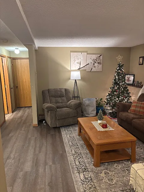 Living room and hallway. Left door is bathroom. Door straight ahead is 1 bedroom, and to the right of that door is 2nd bedroom. - 207 Park St #B