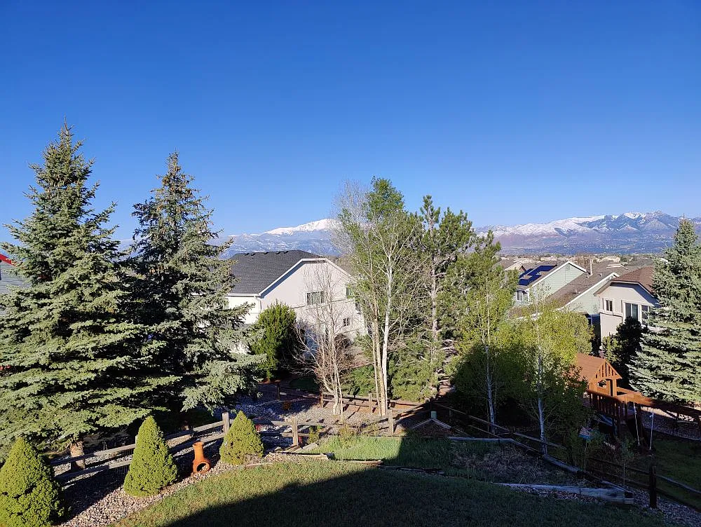 Clark Fork Pl, Colorado Springs — Photo 4