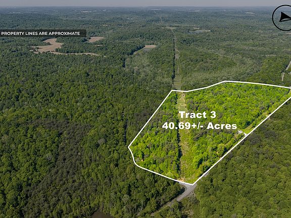 4th image of 605 Morris Beshear Rd
