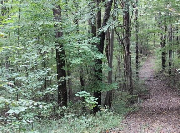 5th image of 16526 State Route 374