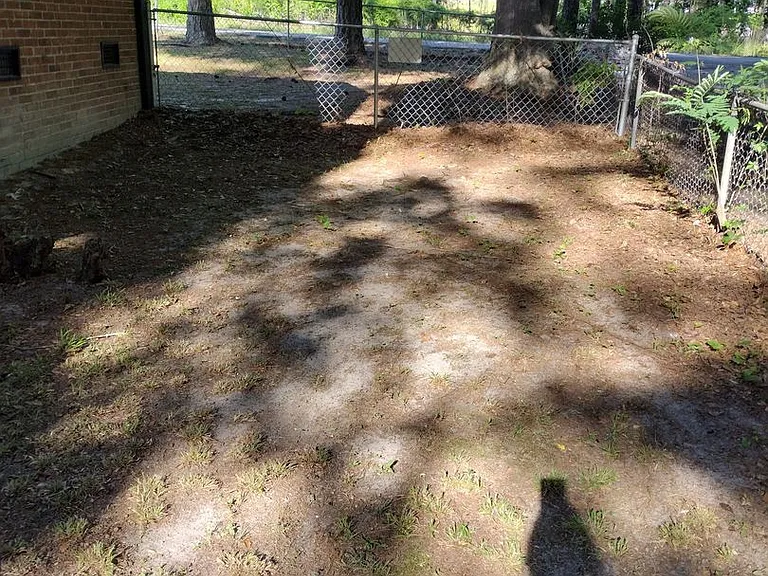 1817 E Boundary Rd — Photo 20