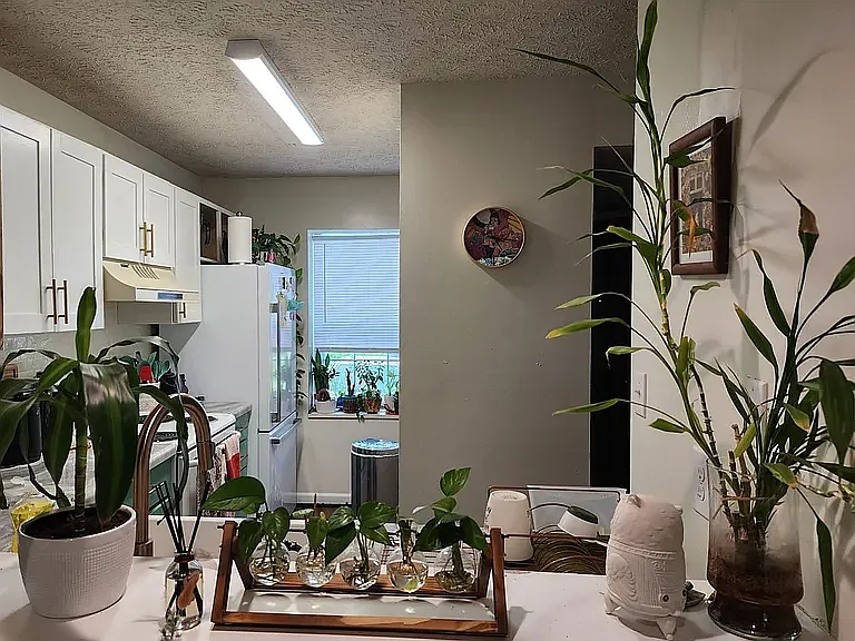 3 bed, 1443 sqft, $1,400 — Photo 2