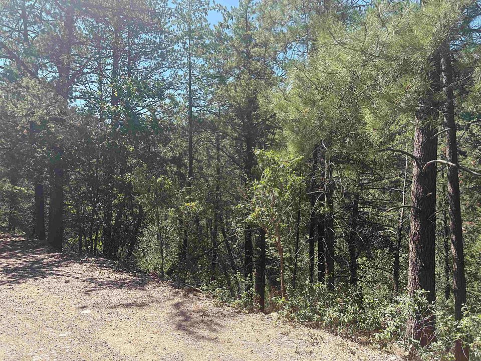 2nd image of Running Deer Trl #7