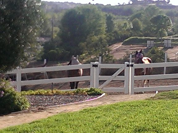 Will & Josie at the Gate