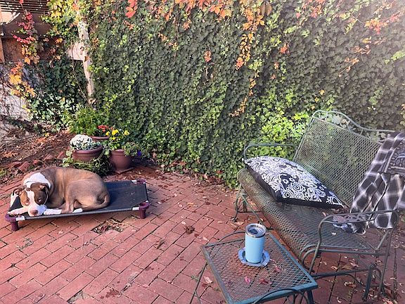 3rd image of 2118 Green St APT 1R