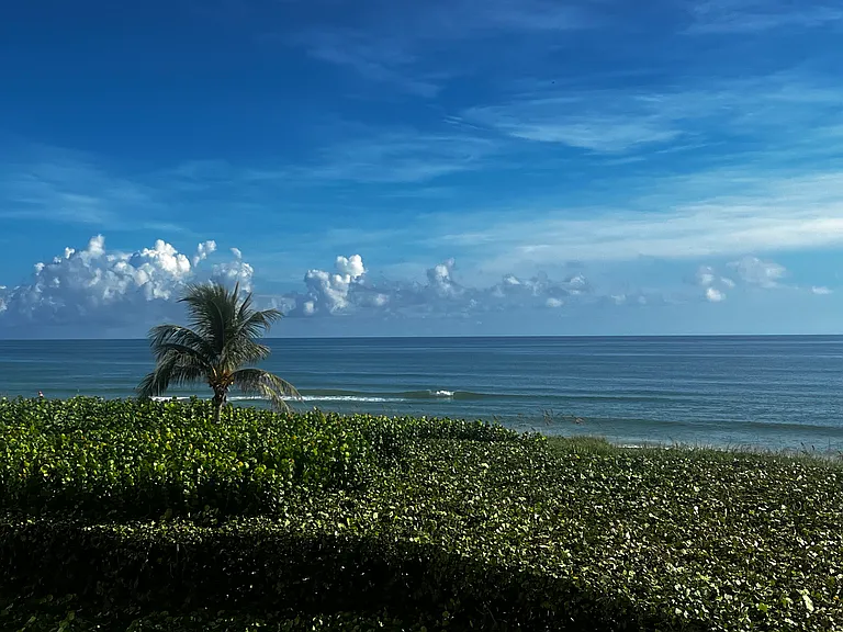 10600 S Ocean Dr #209 — Photo 99