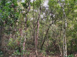 NE 717th St, Old Town, FL 32680