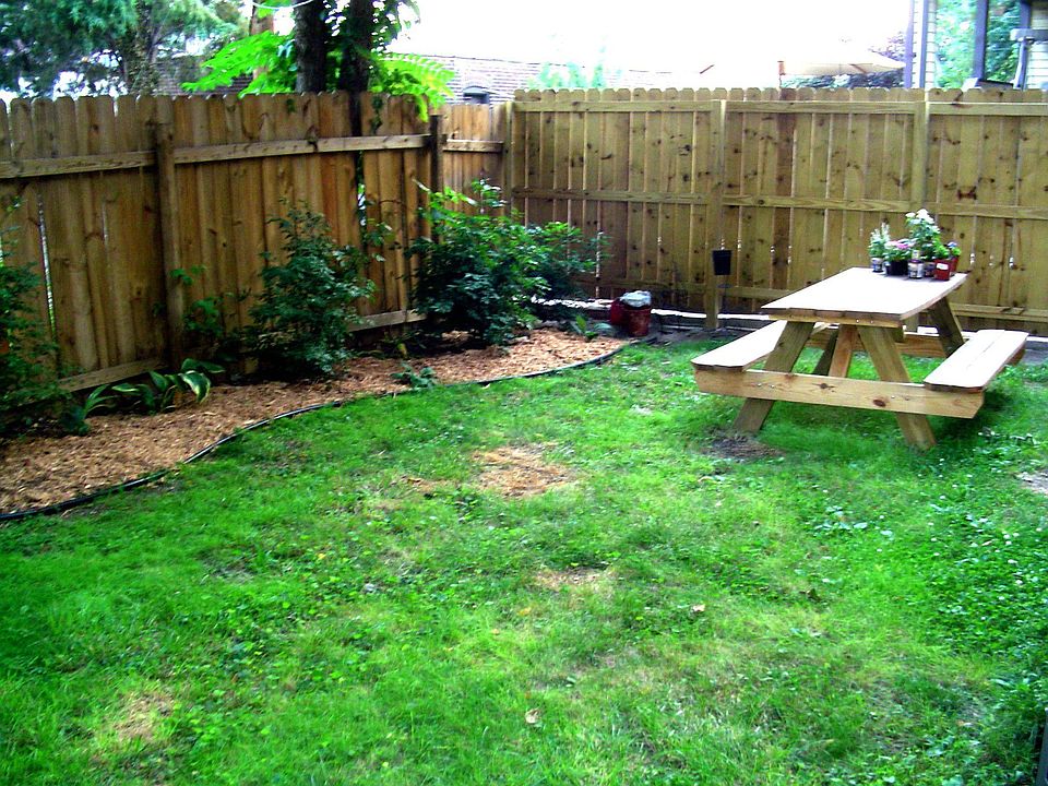Back yard