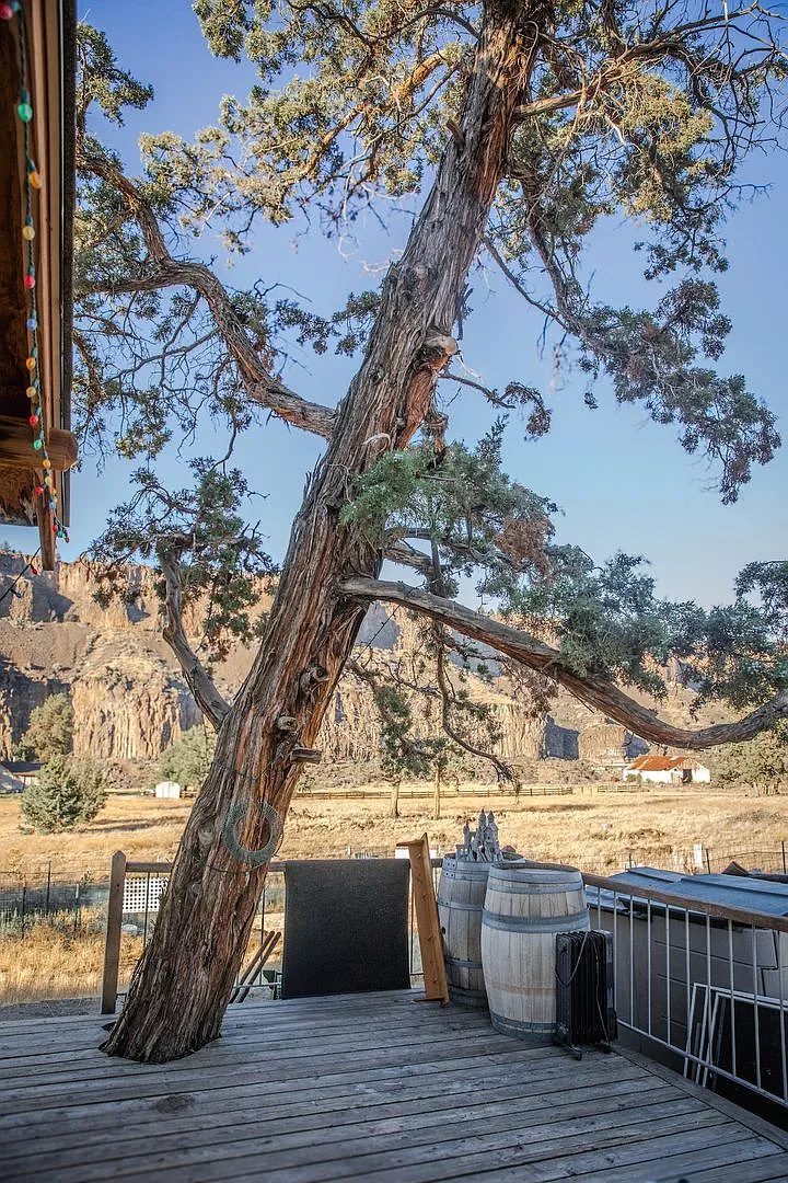 Historic Farmhouse in Crooked River Ranch Available! — Photo 3