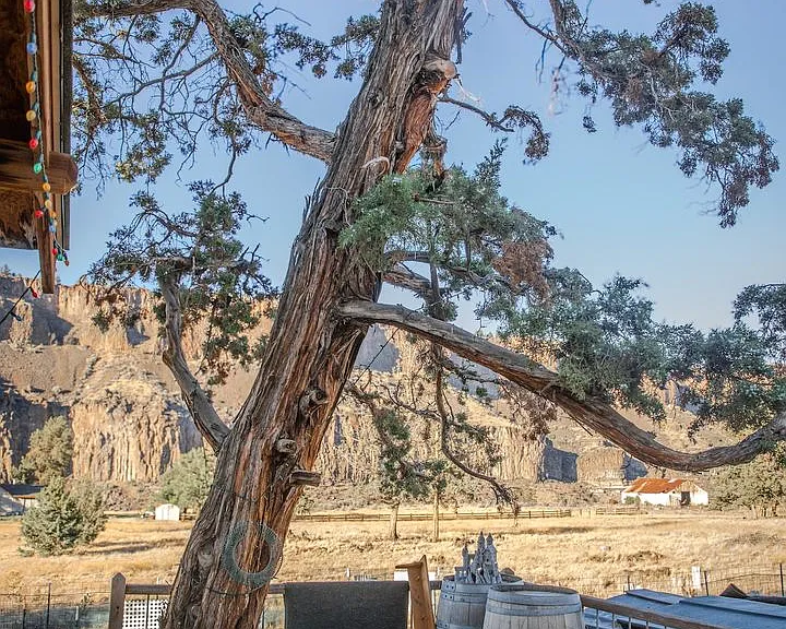 6690 Old Ranch House Rd — Photo 3