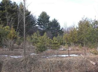 0 Downington Rd, Deckerville, MI 48427