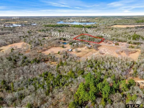 20-21 Fm 22 #2339, Murchison, TX 75778