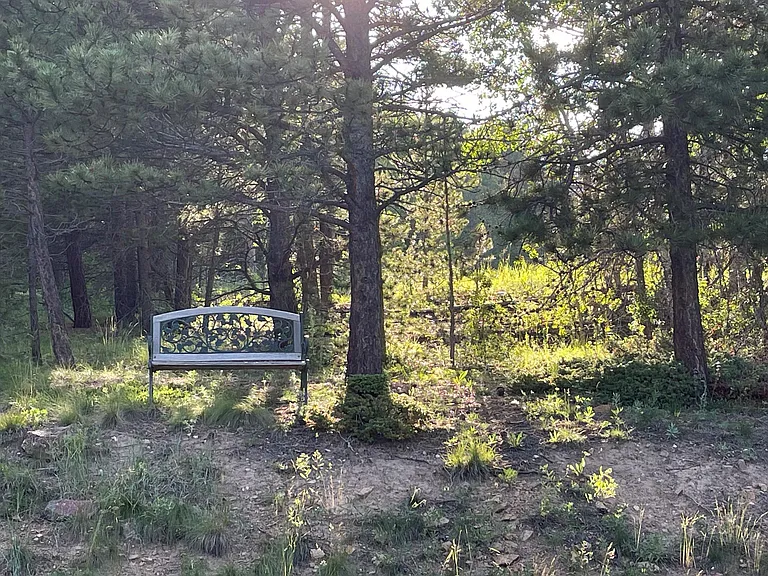 687 Crescent Lake Rd — Photo 35