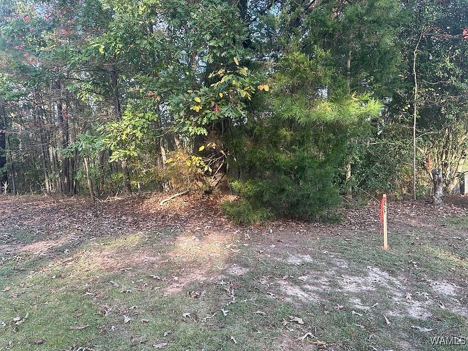 2nd image of LOT 65 Blue Pine Cir