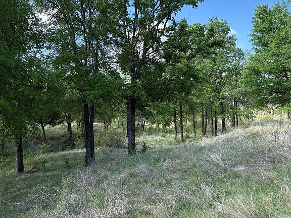 5th image of Whitetail Springs Ln