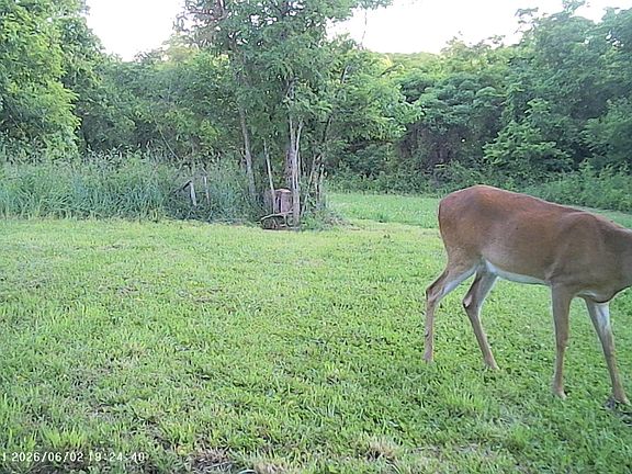2nd image of 0 Eden Ridge Rd