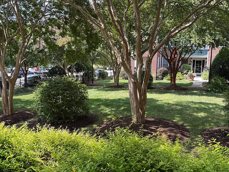 710 N Person St #201 — Photo 13