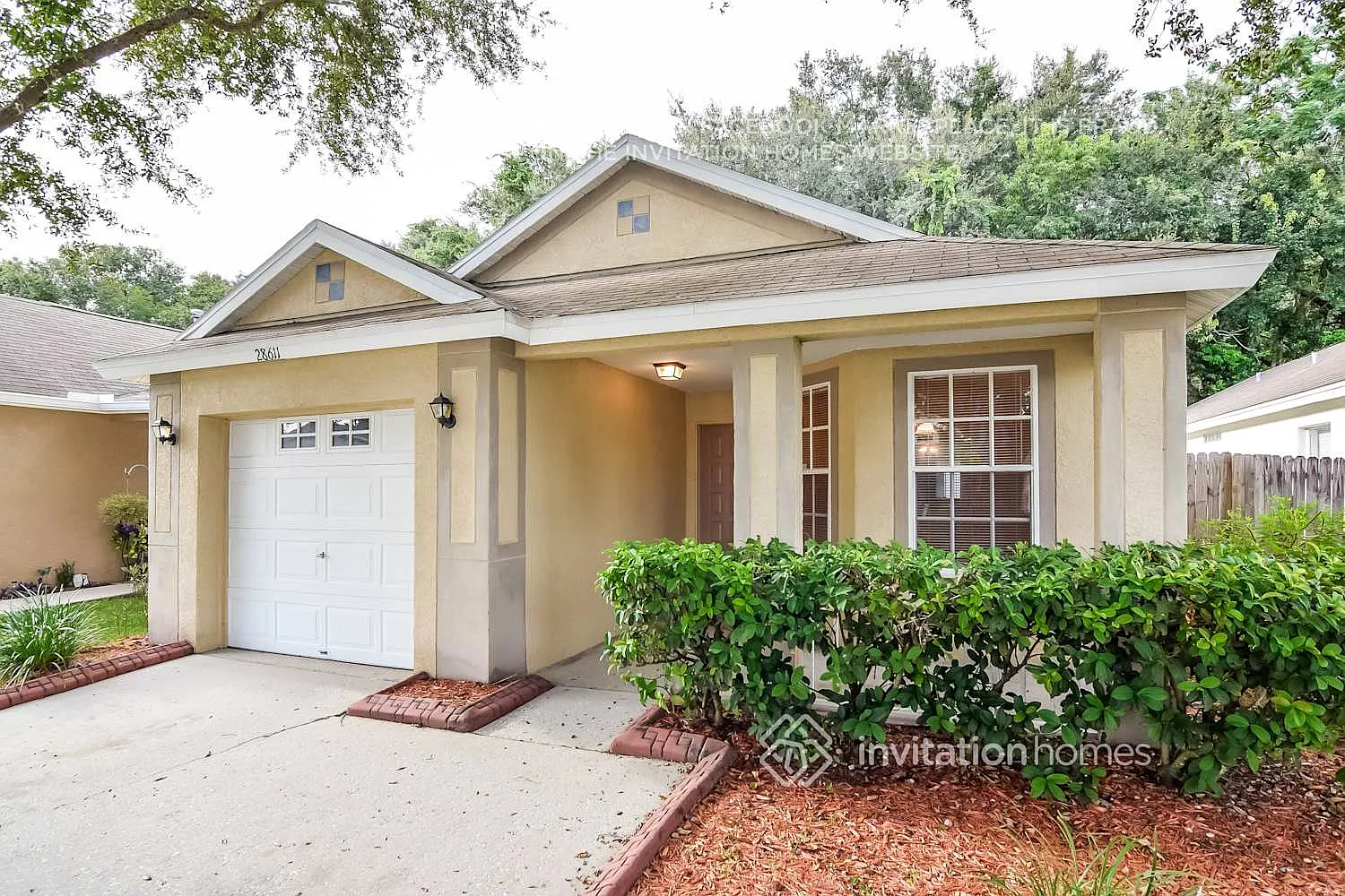 28611 Seashell Ct Zephyrhills, FL 33545 — Photo 3