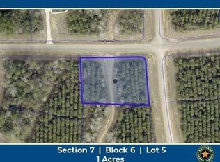 15261 Rubicon Rd Lot 5, Willis, TX 77378