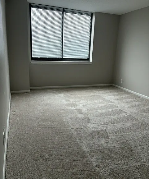 5501 Seminary Rd #1207 — Photo 6